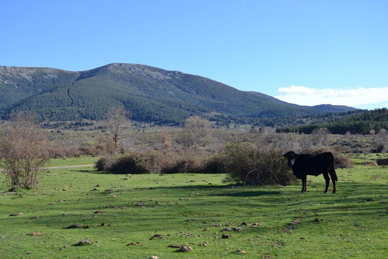 La Portada De Abajo Villa Gallegos Ngoại thất bức ảnh